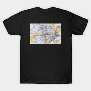 Dry and swollen earth texture T-Shirt